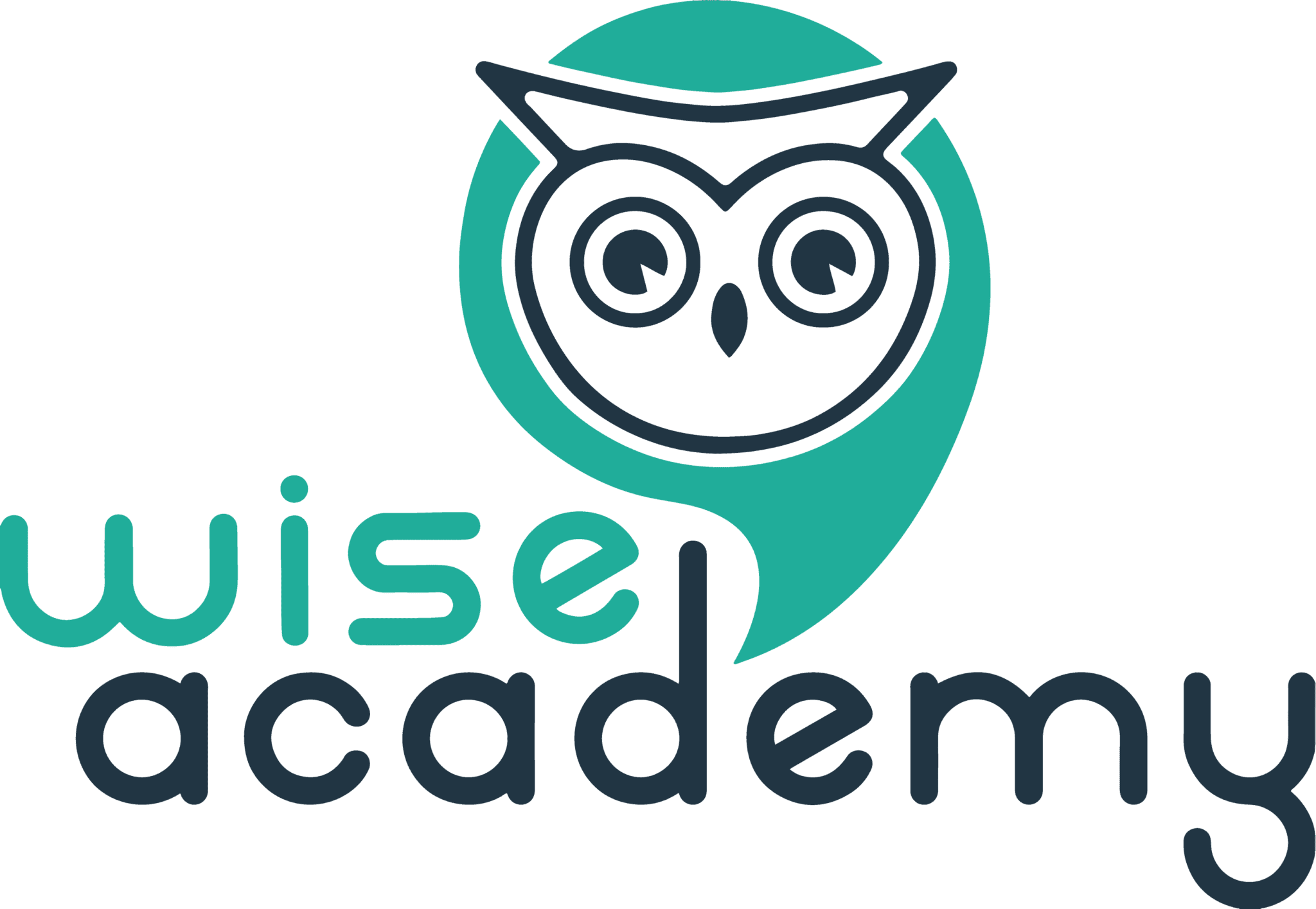 Especialização – Wise Academy